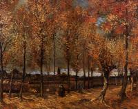 Gogh, Vincent van - Lane with Poplars